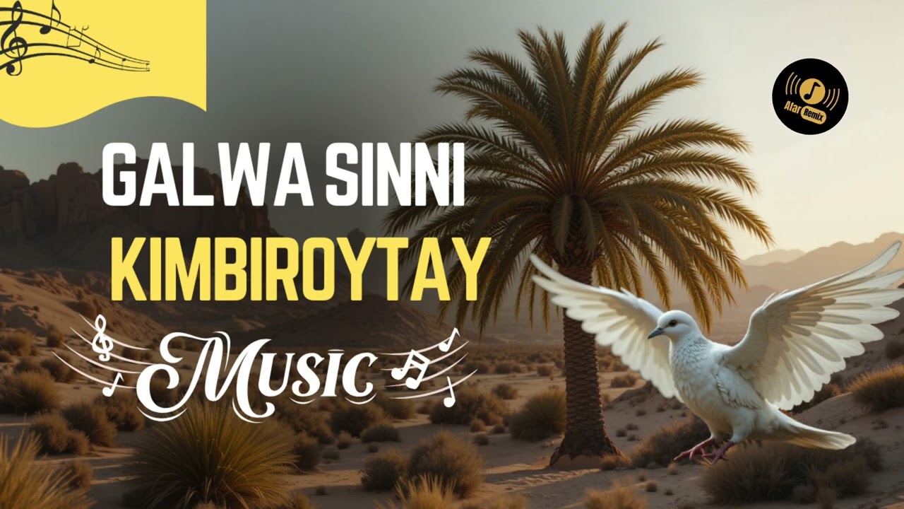 Galwa Sinni Kimbiroytay - Haroun Ali Cheikh | Afar Song (Cover)