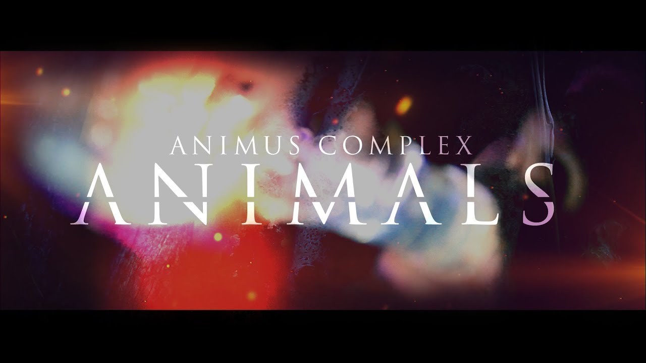 Animus Complex - Animals