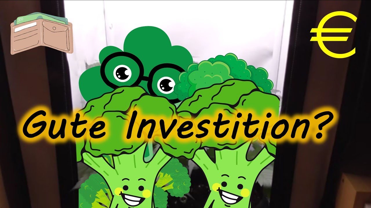 Wie viel kostet der erste Indoor Grow? Wie viel der zweite?