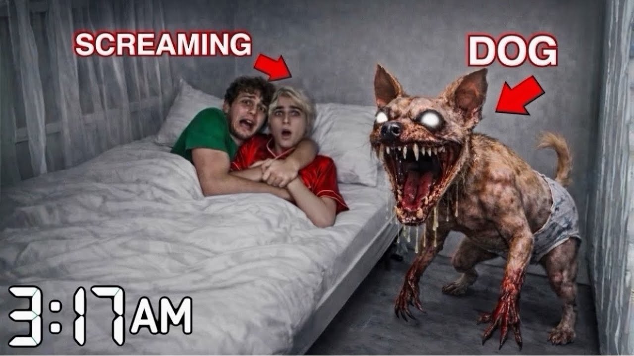 THERE’S SOMETHING WRONG WITH OUR DOG…😰