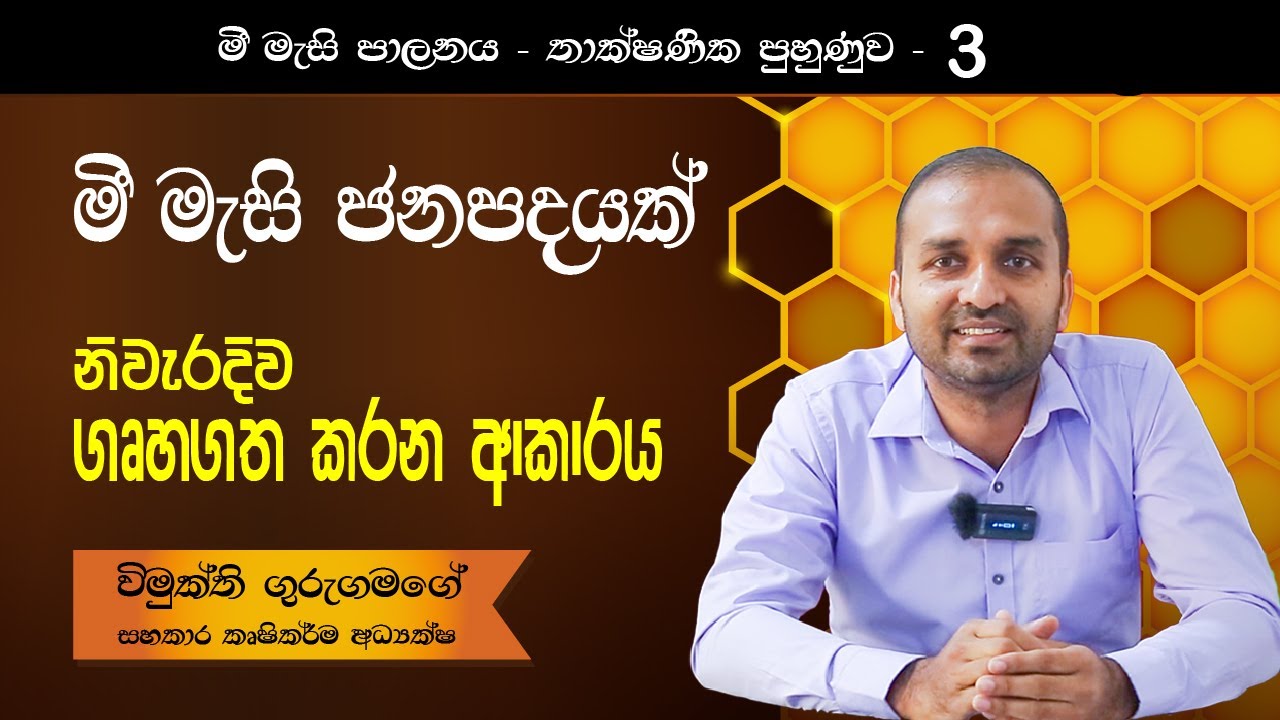 මී මැසි ජනපදයක් නිවැරදිව ගෘහගත කරන ආකාරය / How to domesticate a bee colony. 