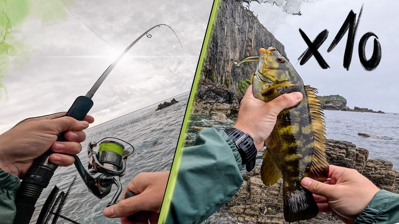 10 PECES a SPINNING en TRES HORAS de PESCA con el MAR MUY PARADO para ser ASTURIAS