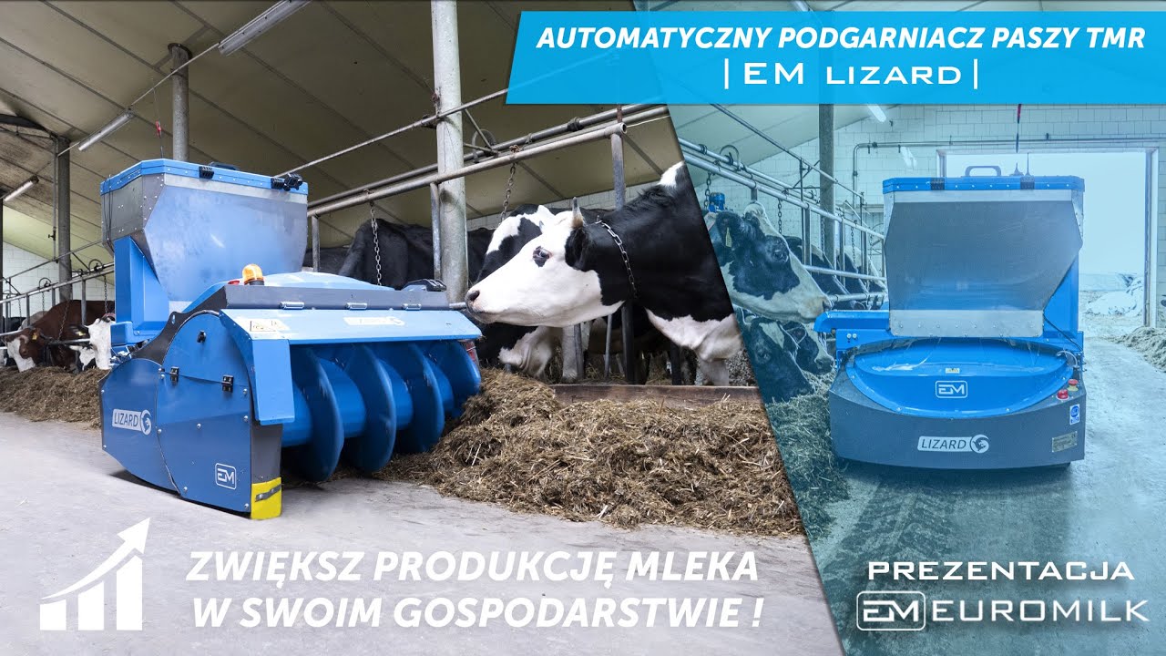 Automatyczny podgarniacz paszy TMR|  EUROMILK LIZARD w pracy | Zwiększ wydajność i zarabiaj więcej !