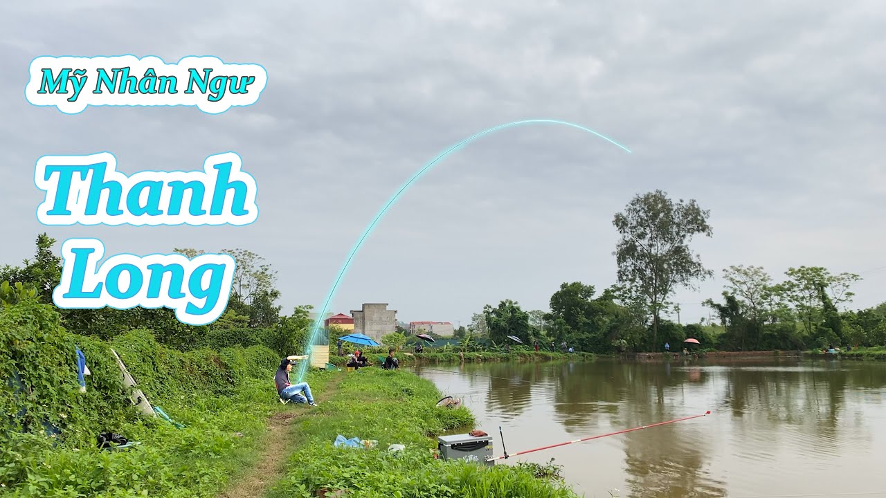 68. Test cần gặp đàn C.h.é.p 