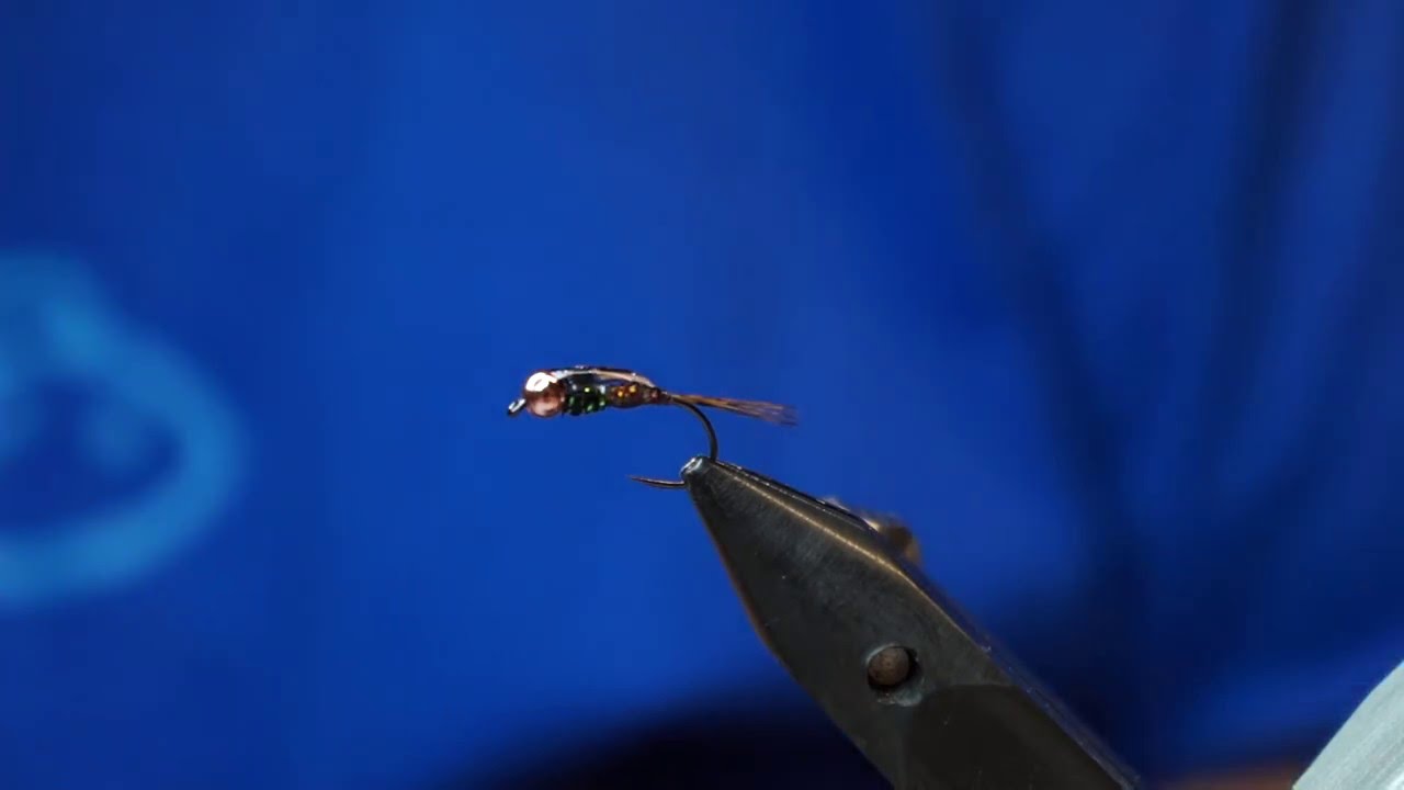 Montaje de perdigón con bola de tungsteno