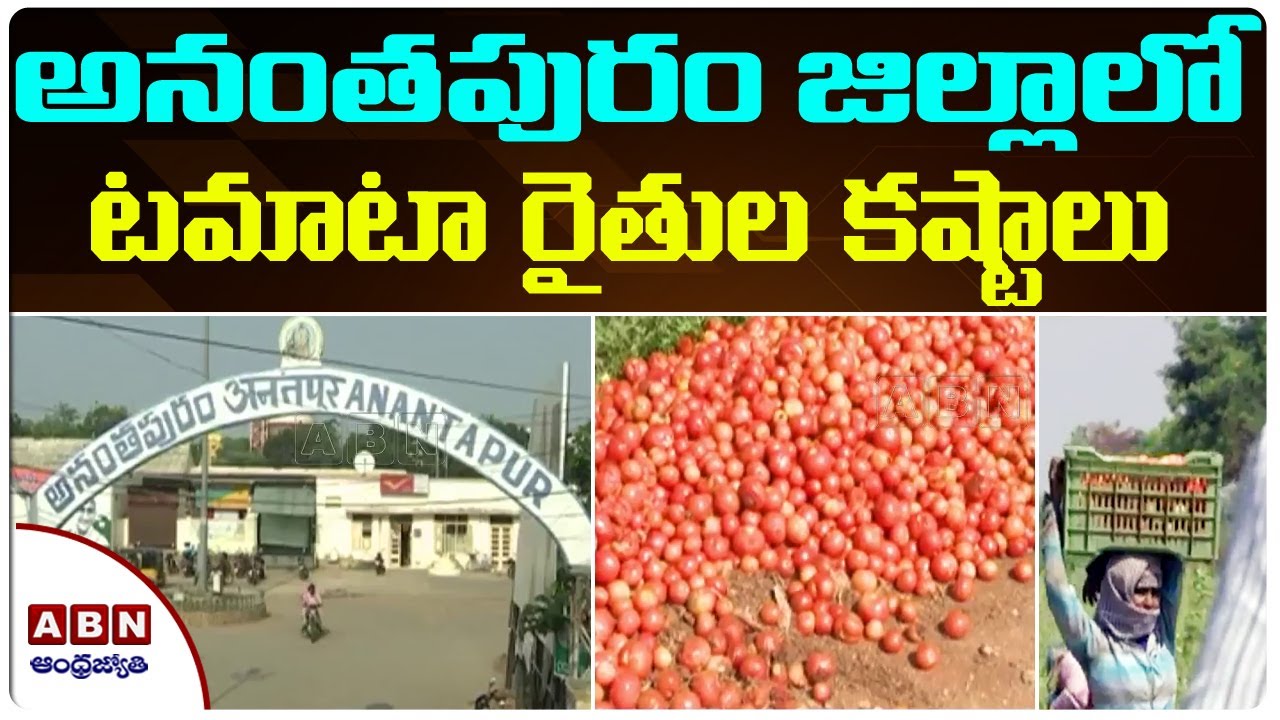 Tomato Farmers Facing Problems in Anantapur District | ABN Telugu