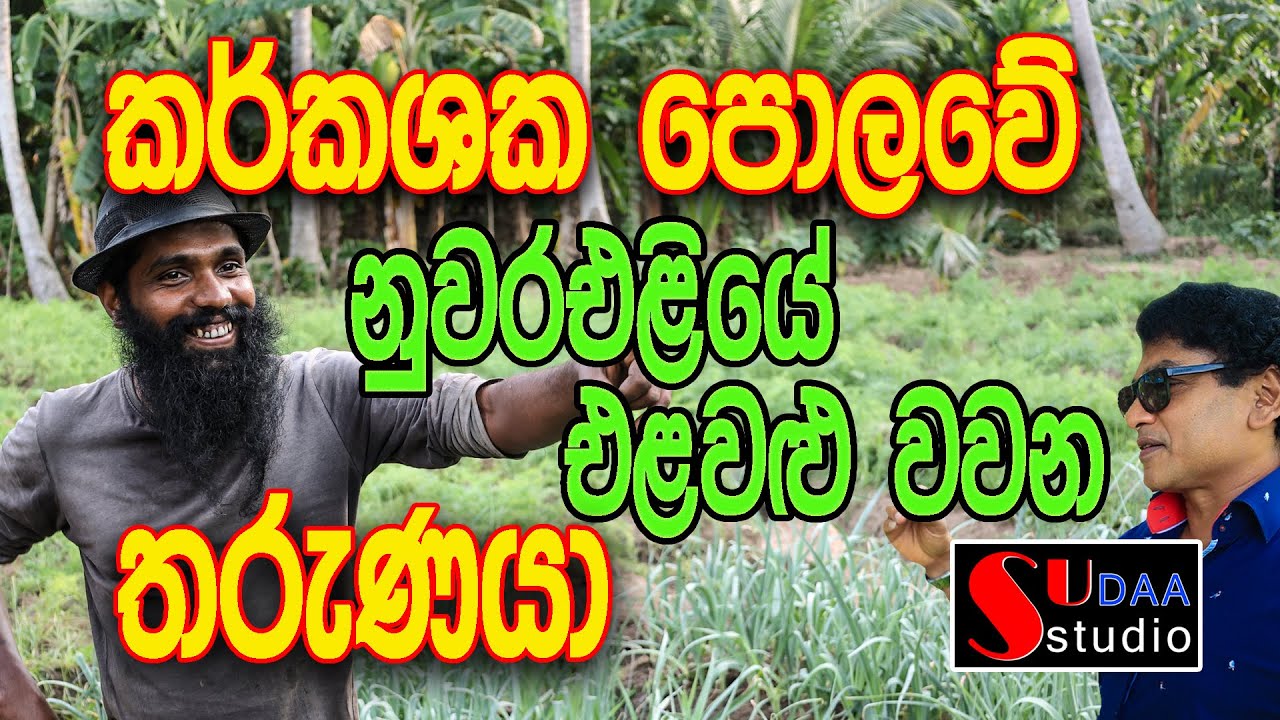 කර්කශක පොලවේ නුවරඑළියේ එළවළු වවන තරුණයා  SUDAA STUDIO