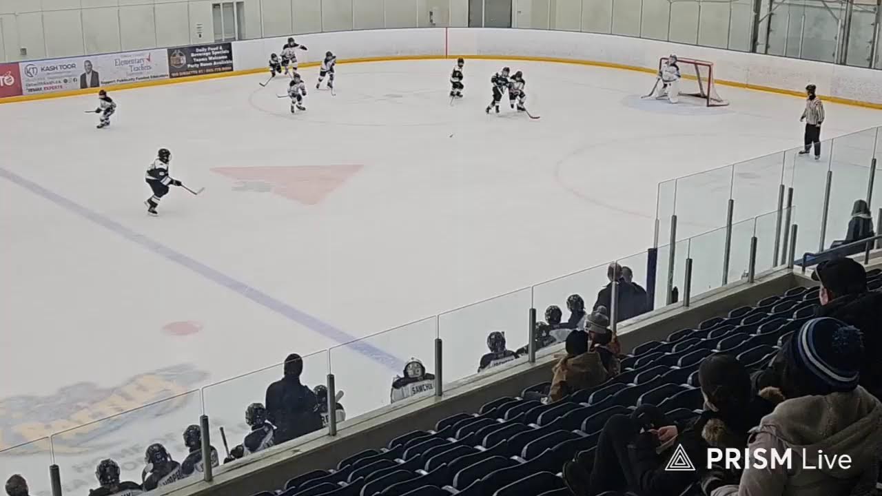 Live streaming of Shamrocks U12B