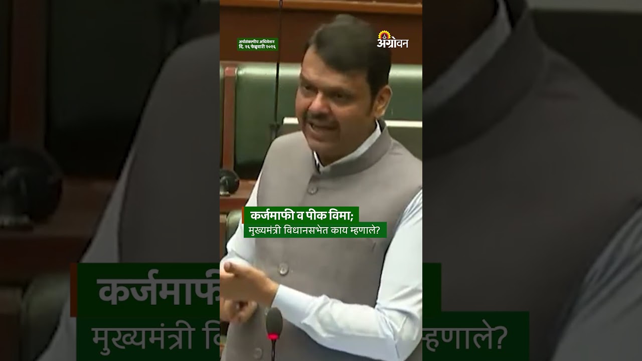 Farmer Loan Waiver: शेतकरी कर्जमाफी कधी?;मुख्यमंत्र्यांची विधानसभेत माहिती | Devendra Fadanvis