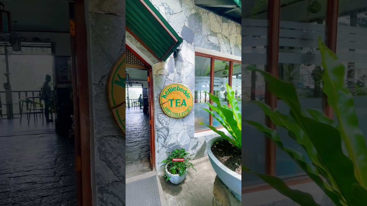 Kelliebedde Tea Lounge 🍃 #freedompath #nature #travel