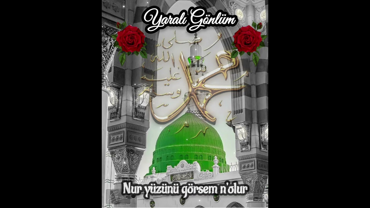 Yaralı Gönlüm
