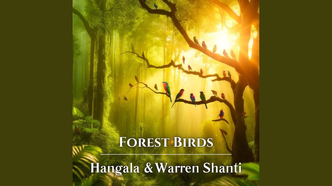 Forest Birds