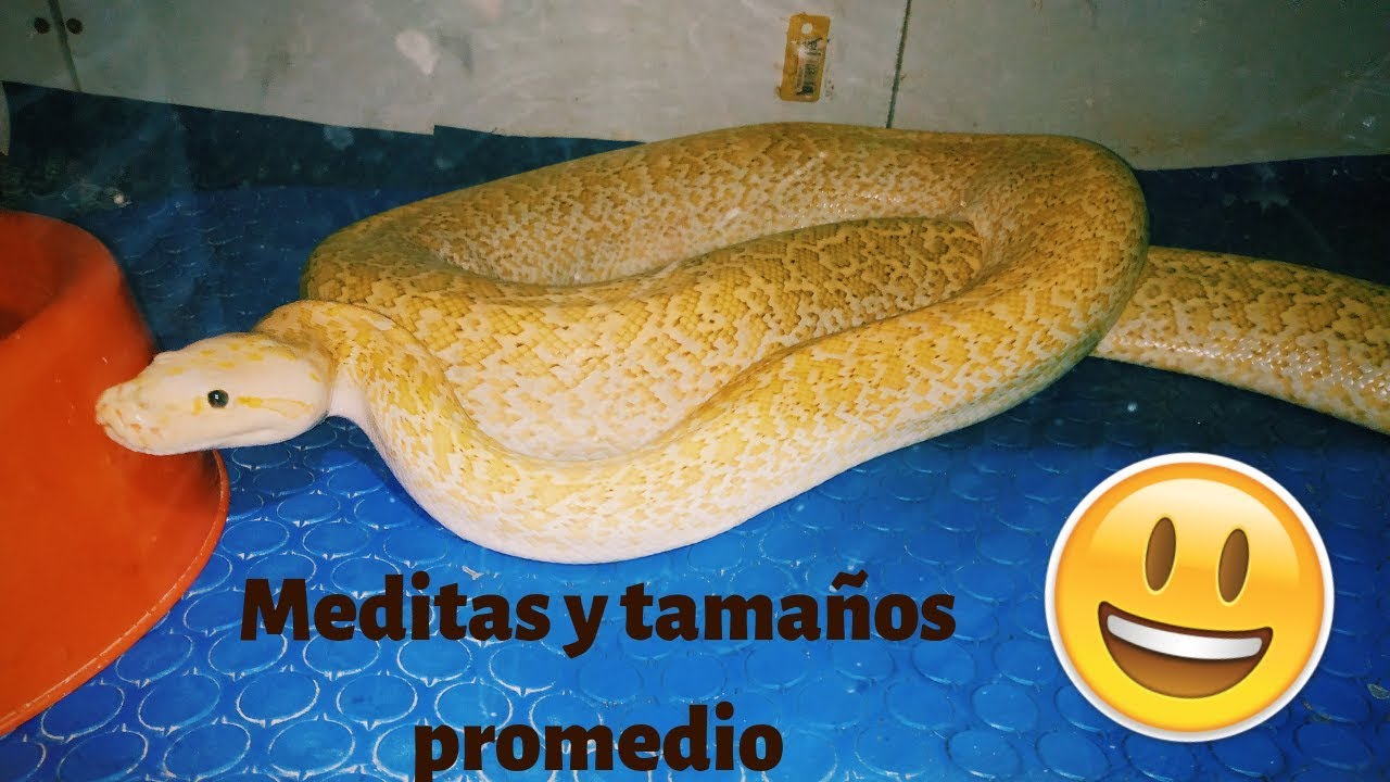 Guía de crecimiento 