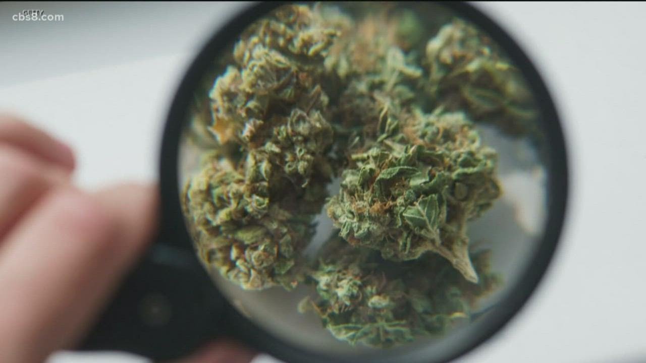 How high is the financial impact of 420 in San Diego County?