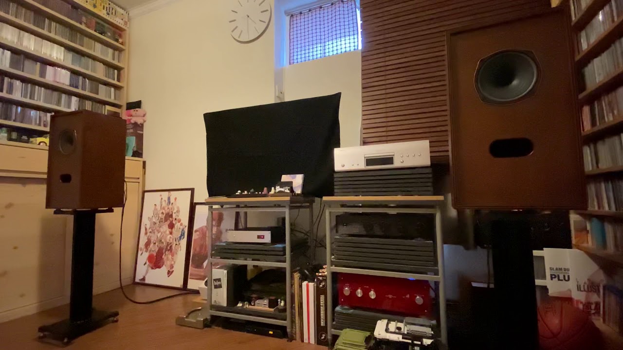 My Diatone P610DB