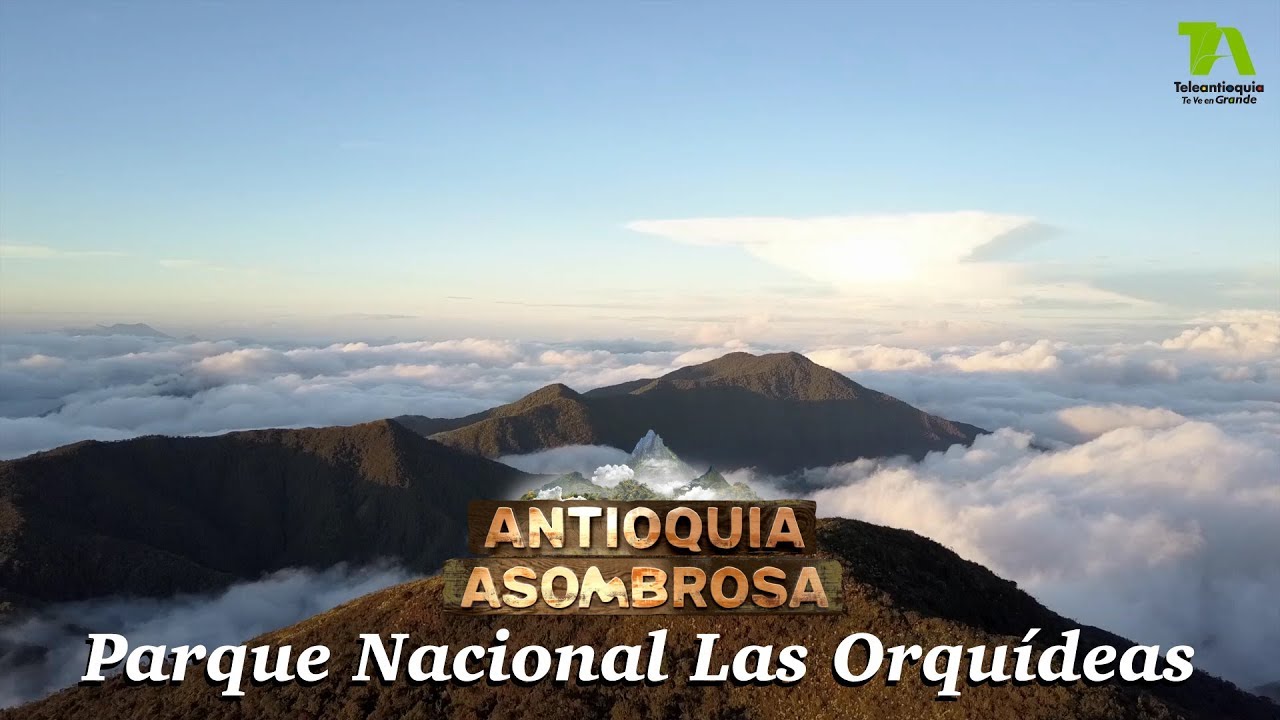 Antioquia Asombrosa, Parque Nacional Las Orquídeas - Teleantioquia