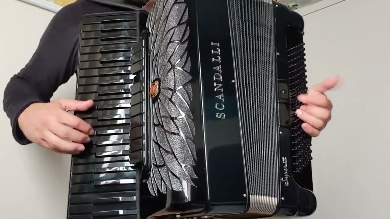 À VENDA: ACORDEON  CORDOVOX SUPER IV BLACK