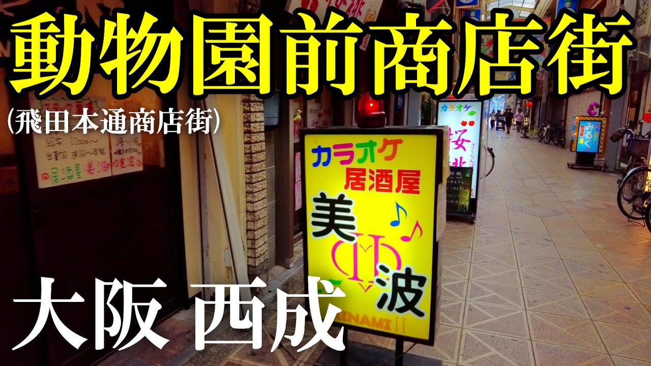 大阪・西成｜中華カラオケ居酒屋だらけ！超ディープな動物園前商店街を歩く