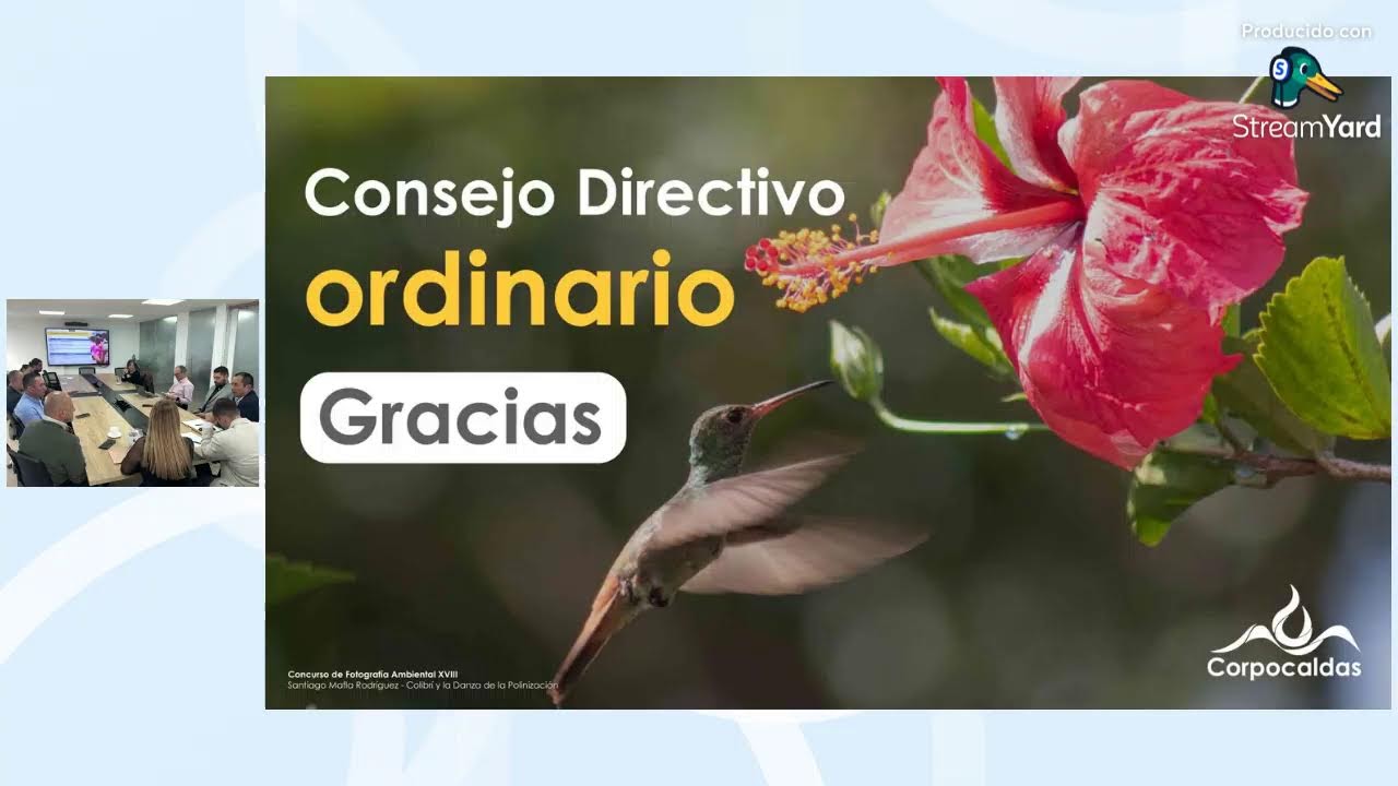 Consejo Directivo Ordinario