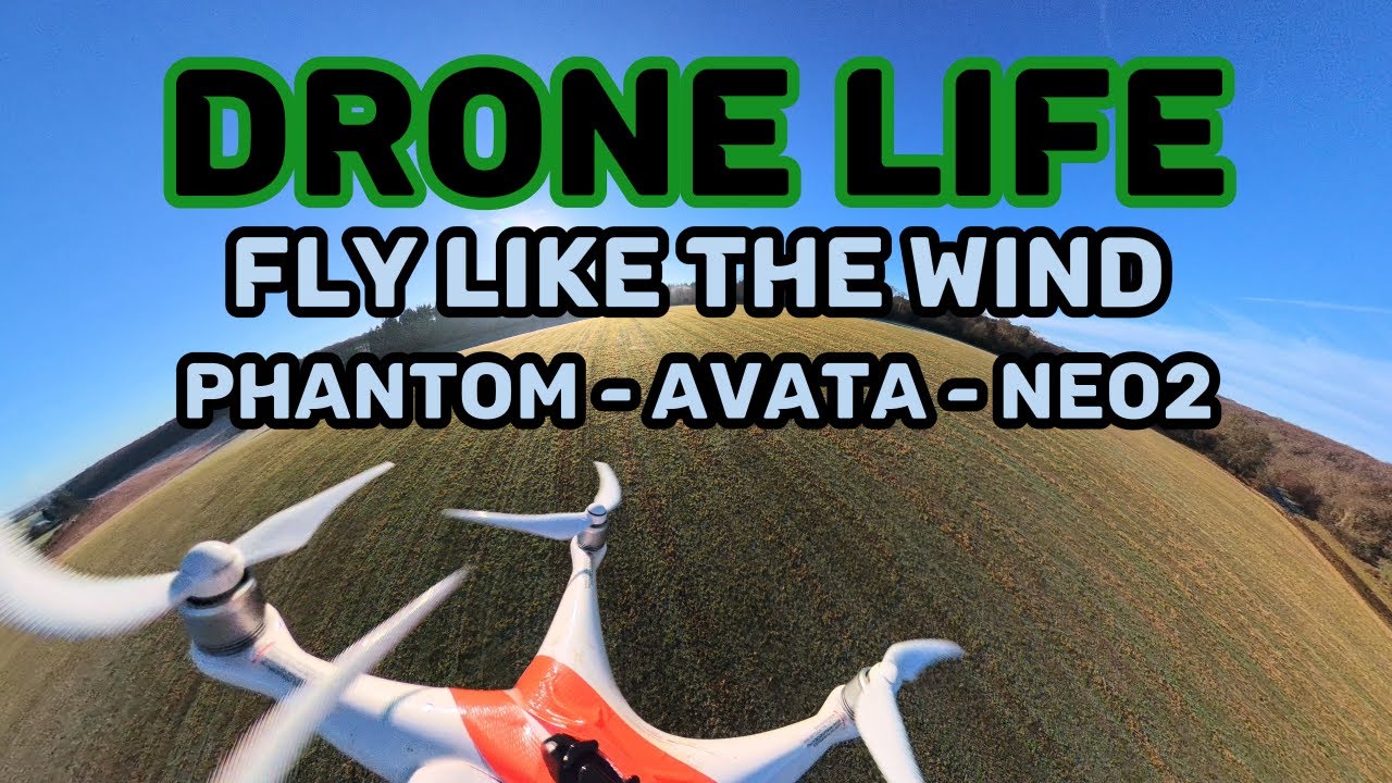 ЖИЗНЬ ДРОНА / DJI AVATAR 2 / DJI NEO 2 / DJI PHANTOM 4