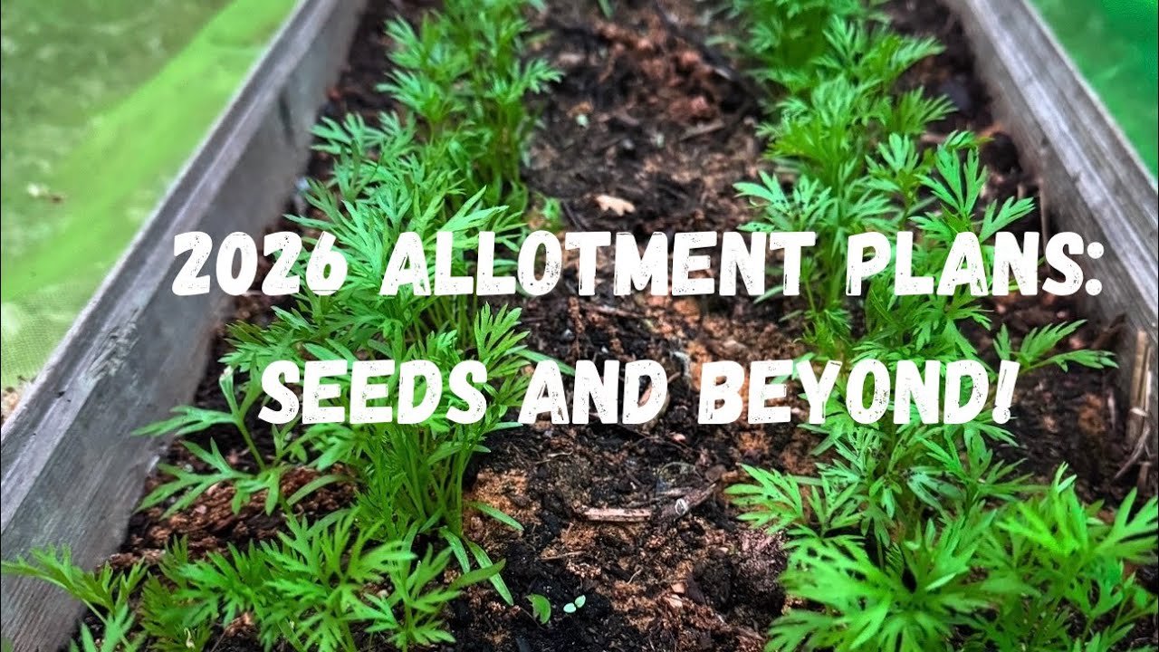 2026 Allotment Plans: Seeds and Beyond!