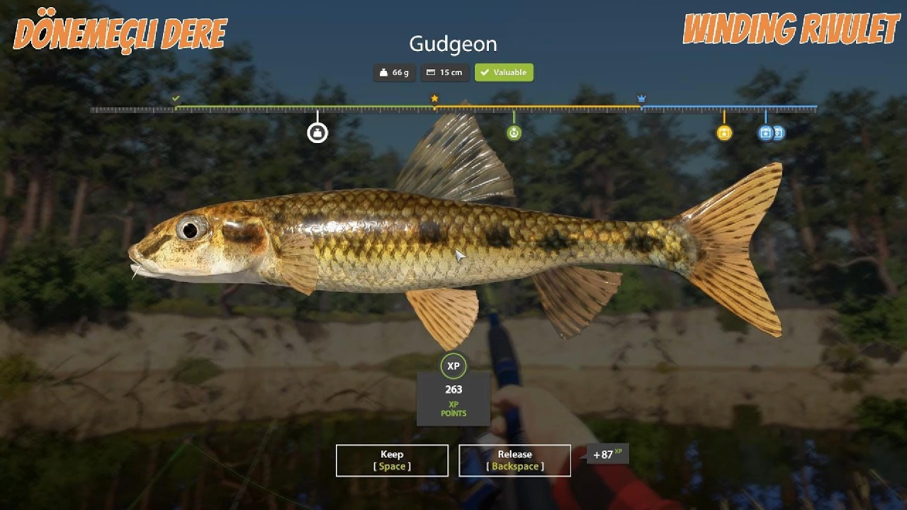 RF4 | Dönemeçli Dere’de Kaya Balığı Avı |Gudgeon| Winding Rivulet Gudgeon Spotu | Russian Fishing 4