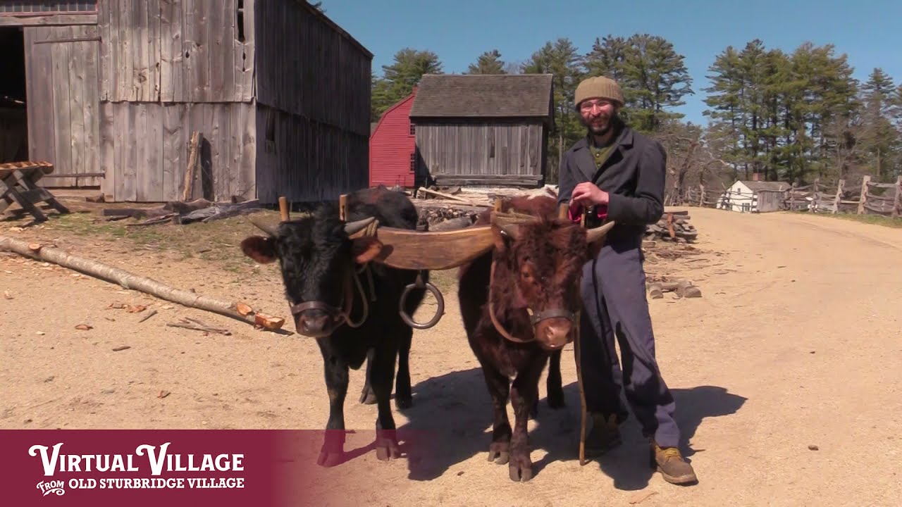 Virtual Village: Red and Don are 1 Year Old!