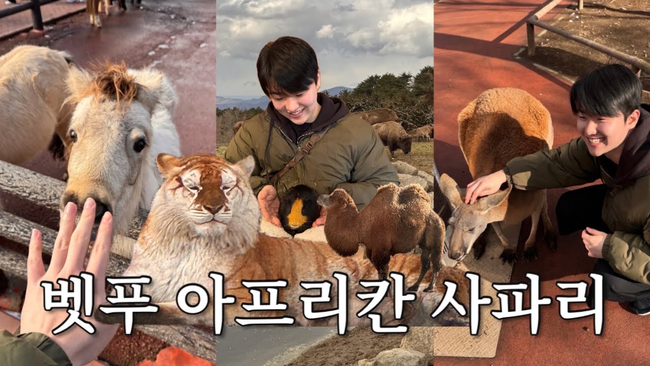 백호 보러 왔는데 시바견이 왜… 있어?!🐯 |  그리고 텐진에서 저녁 4번