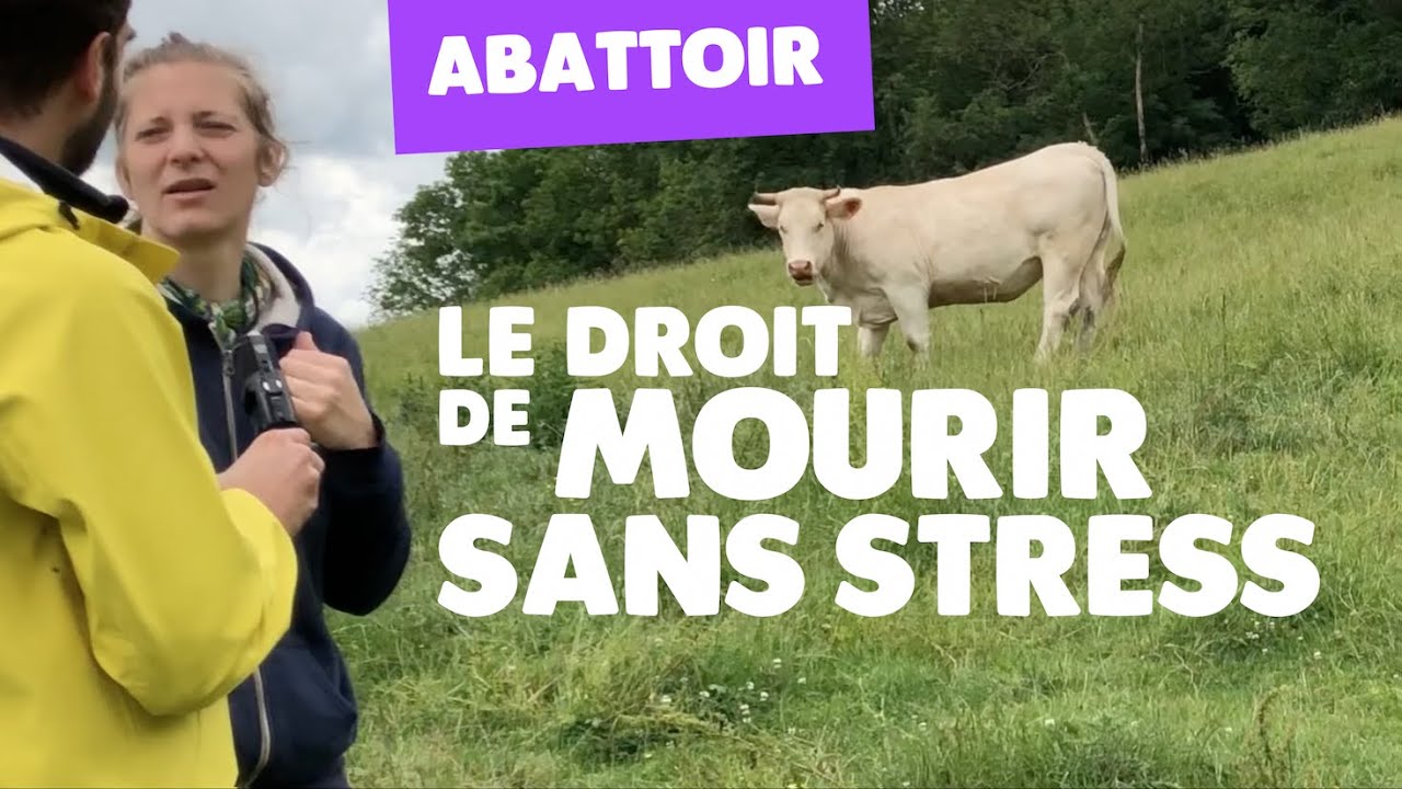 Abattage à la ferme : L'éleveuse qui ouvre la voie