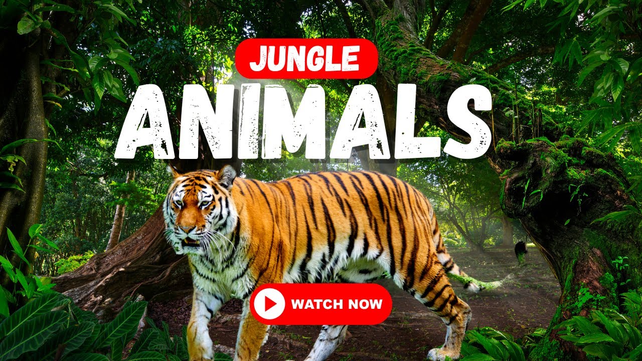 Jungle Animals Name in English | Learn 20 Wild Animal Names with Pictures for Kids & Beginners