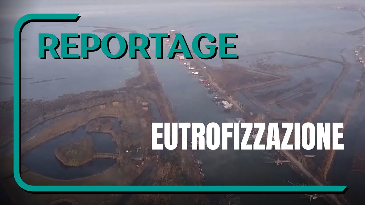 Eutrofizzazione - Descrittore D5 Strategia Marina