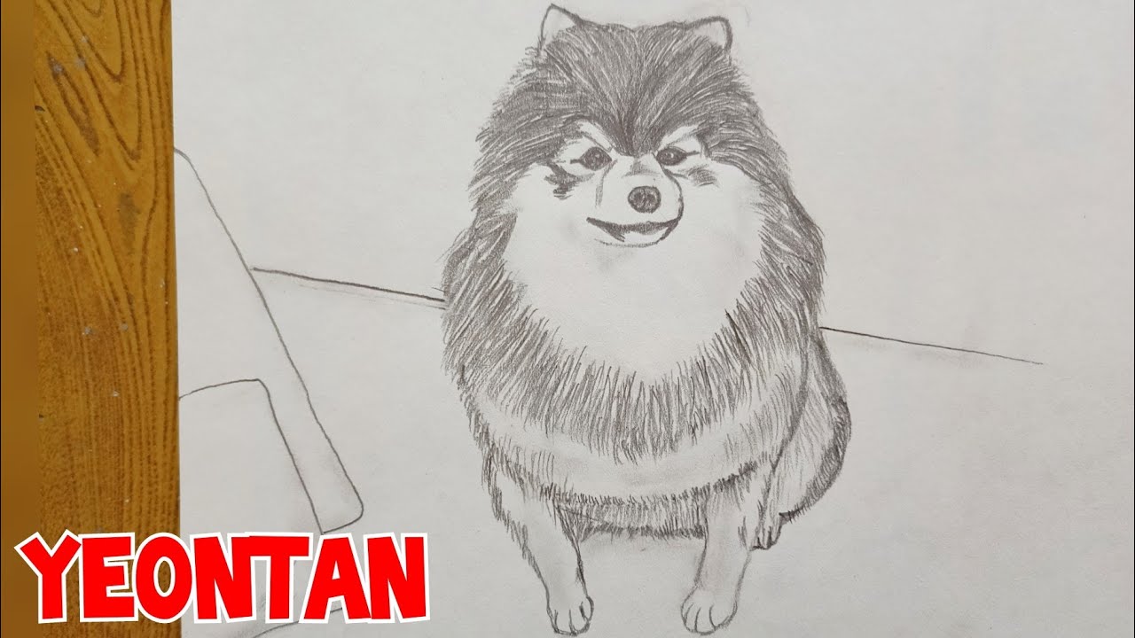How to draw Yeontan Sketch|Taehyung's Yeontan Sketch|Yeontan Cute Drawing easy step by step