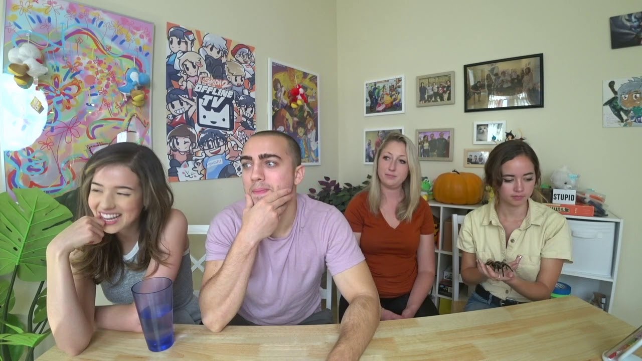 [Archived VoD] 11/02/19 | Pokimane | Animals ft Maya & Mizkif
