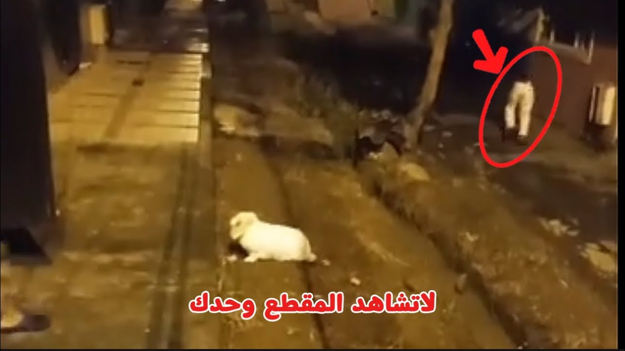 ما حدث لراعي الأغنام تلك الليلة لا يُفسَّر إلى اليوم | قصة مرعبة حدثت في تركيا (امير الشيخ)