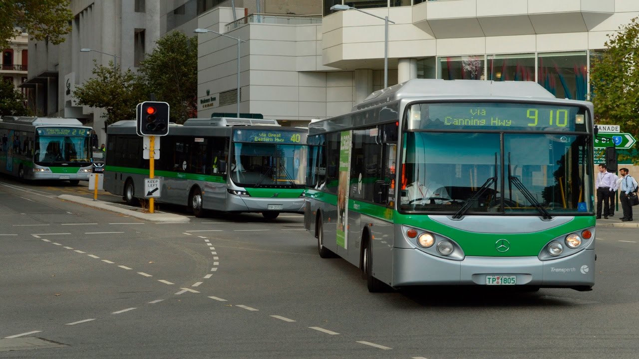 Buses in Perth city during peak hour - Transperth
