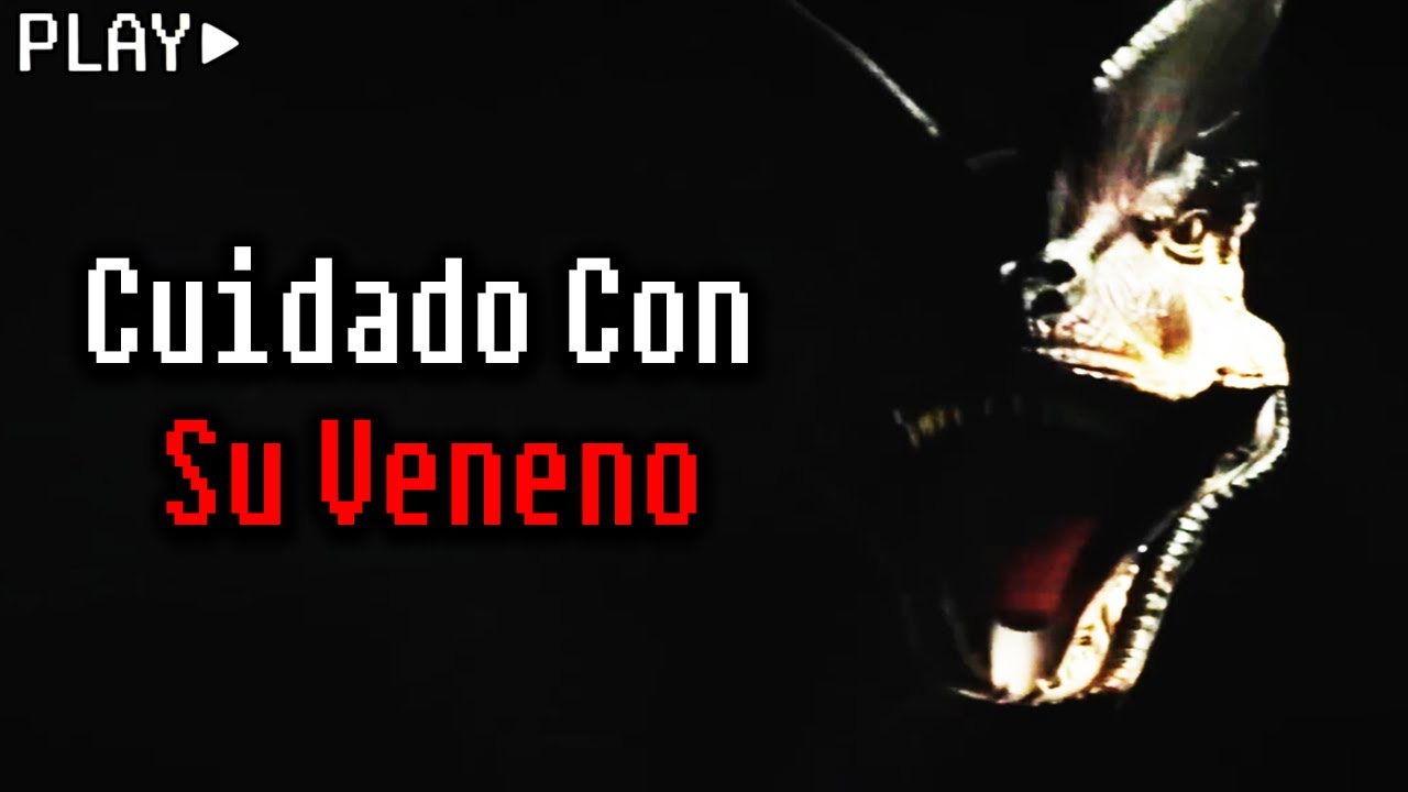 CUIDADO CON TUS OJOS ❌ Muldoon’s Log