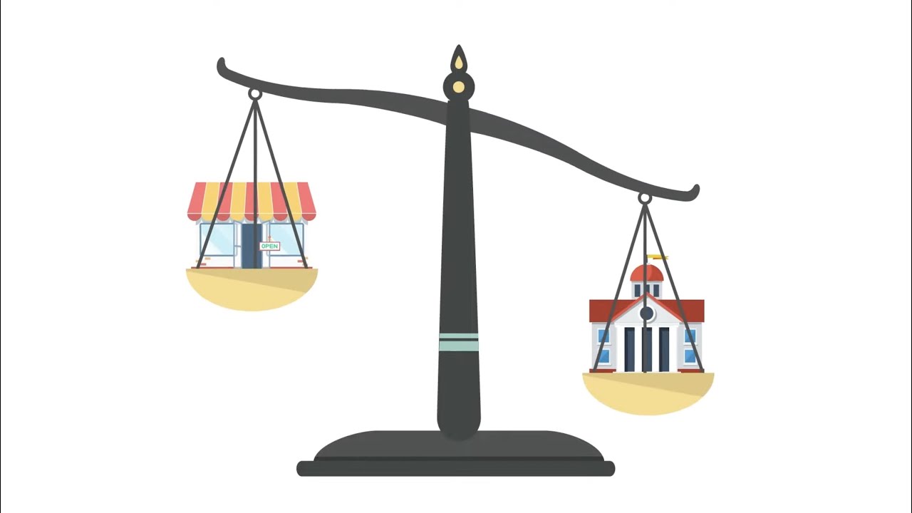 The Purpose of Mixed Economies