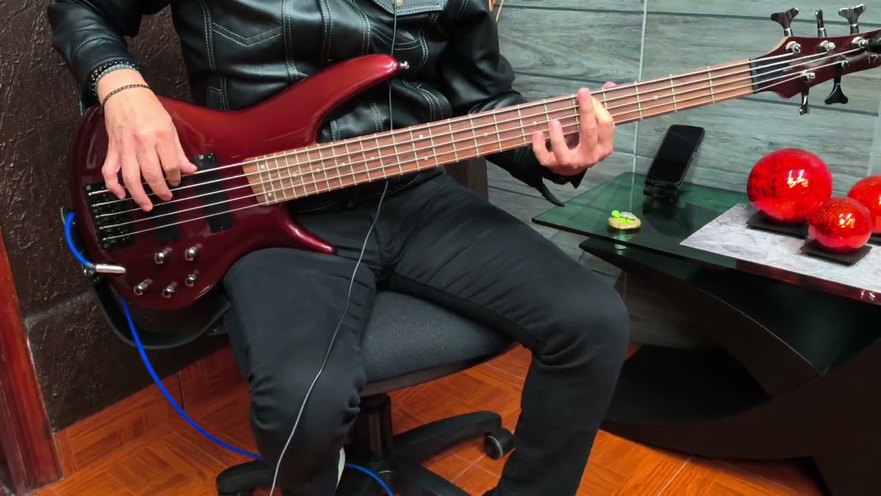 I WAS MADE FOR LOVIN' YOU/KISS.                           Bass cover.