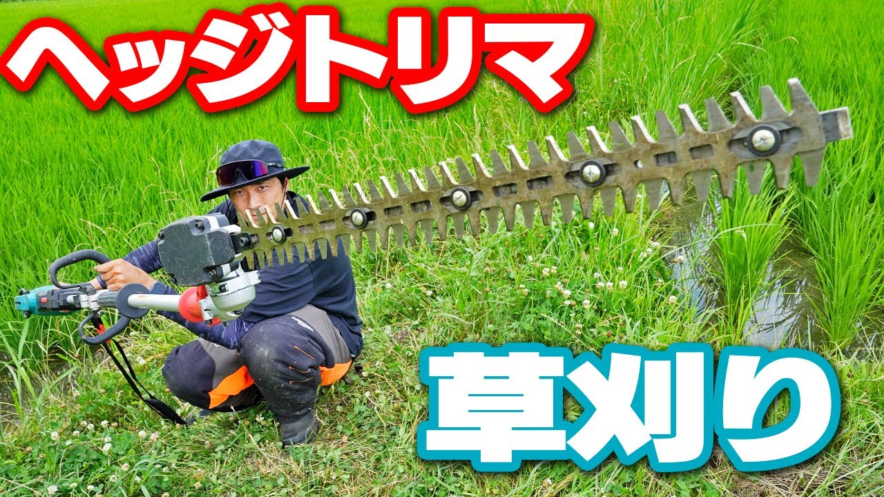 【革命】マキタヘッジトリマで田んぼの草刈りしたら・・【スプリットモータ】