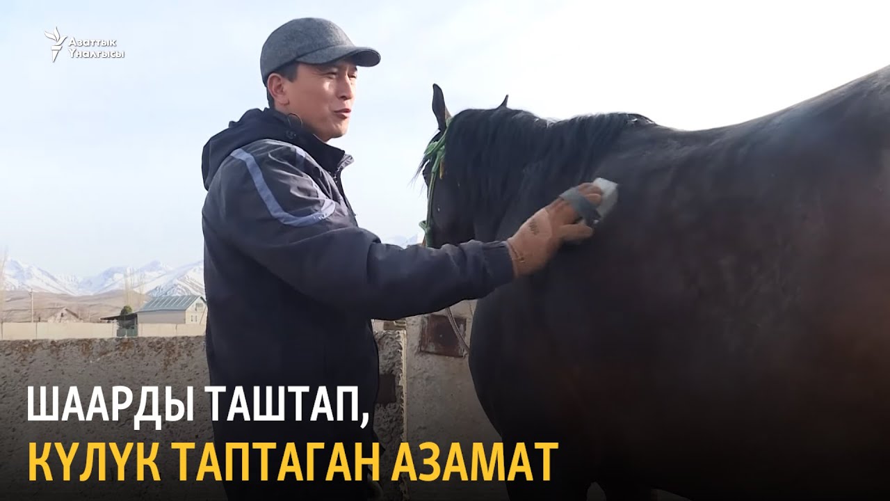 Талас: «Жылдызы жанбаган» жылкы заводу