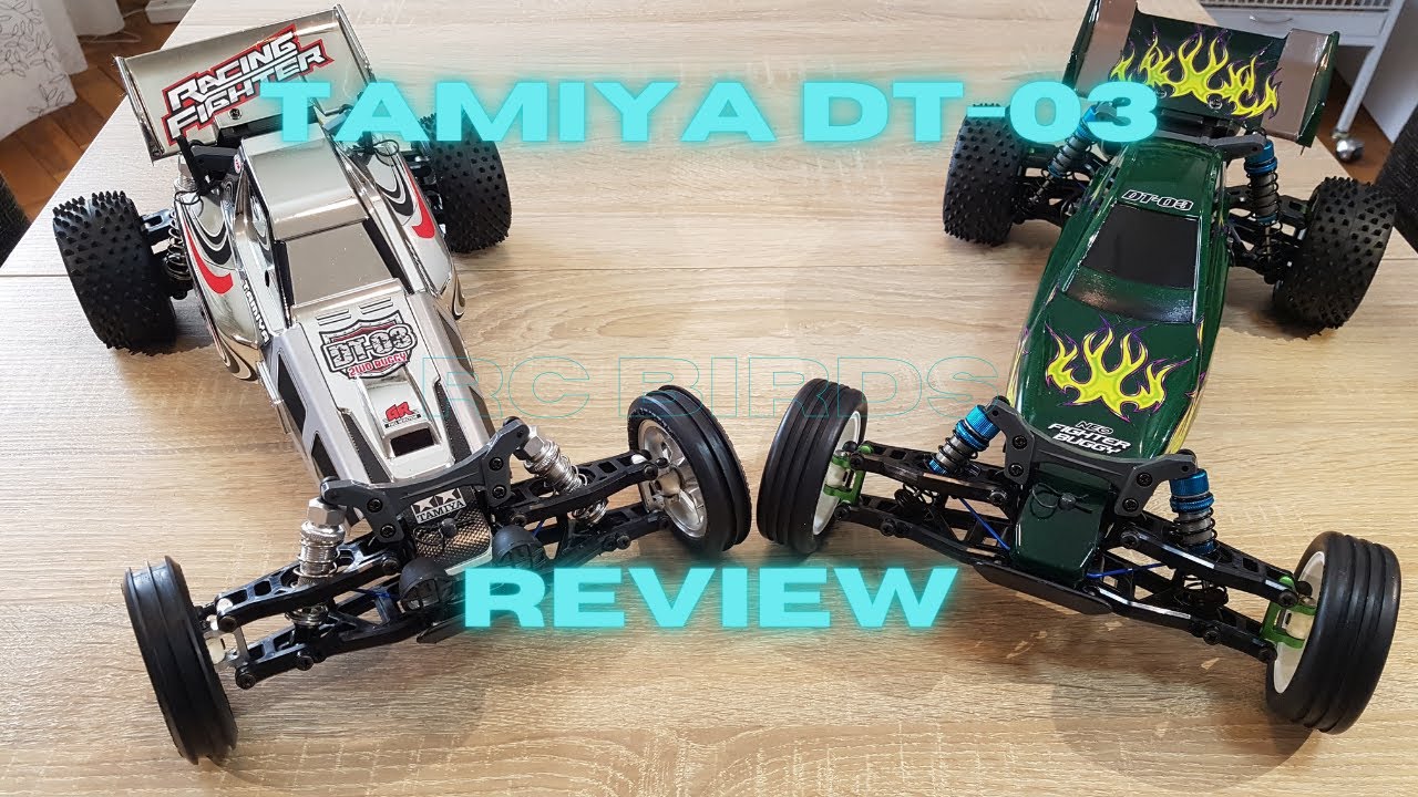 This is my Review of two Tamiya DT-03 RC cars