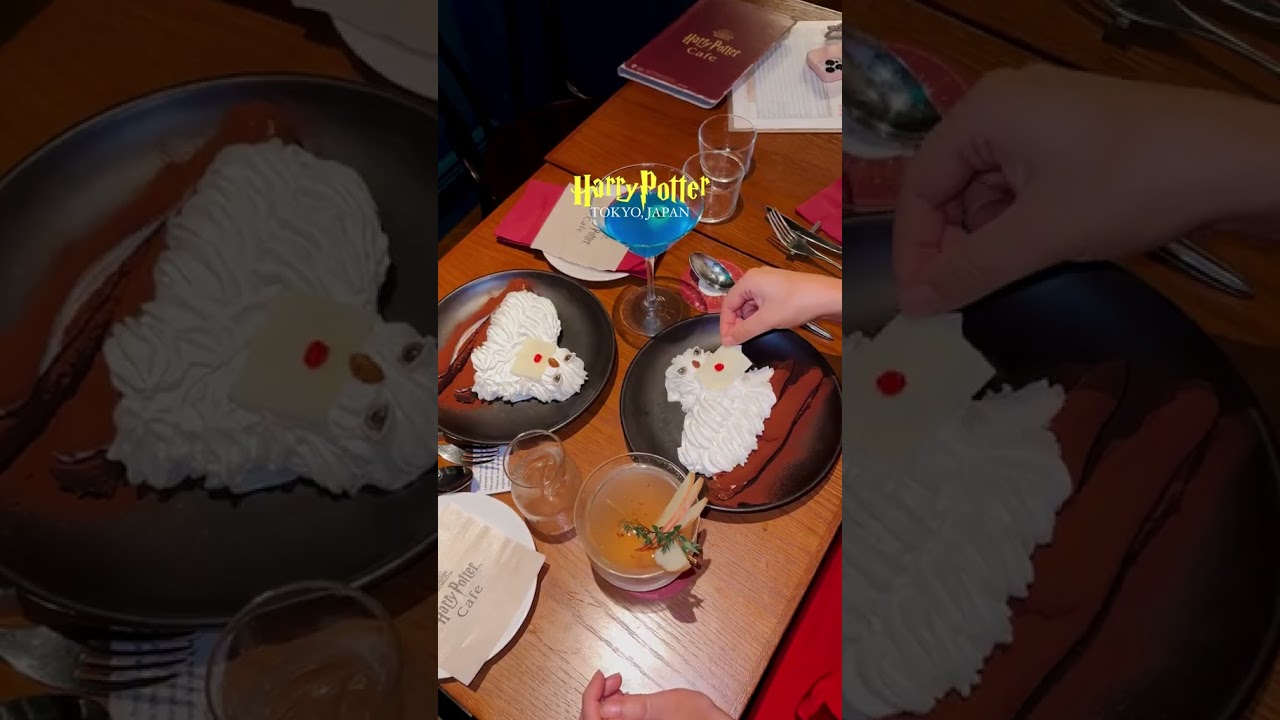 A travel to Tokyo, Japan🥢