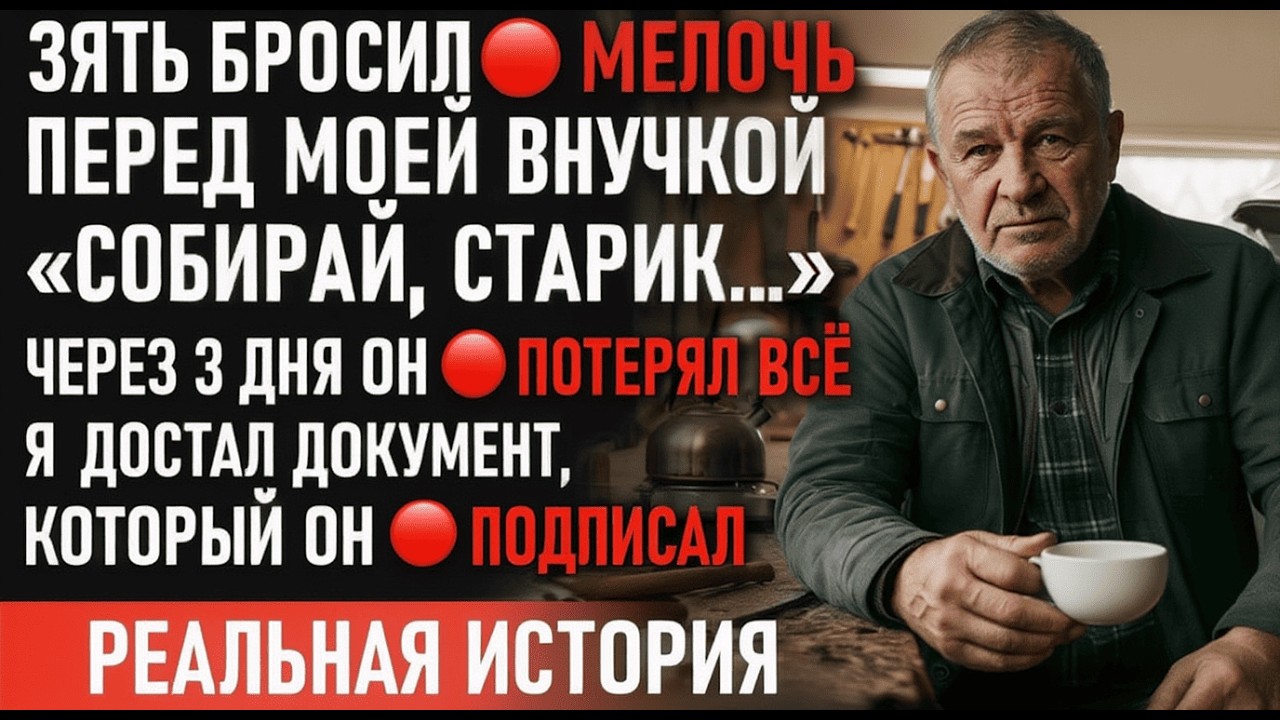 Зять бросил мне мелочь при внучке: через три дня он пожалел об этом