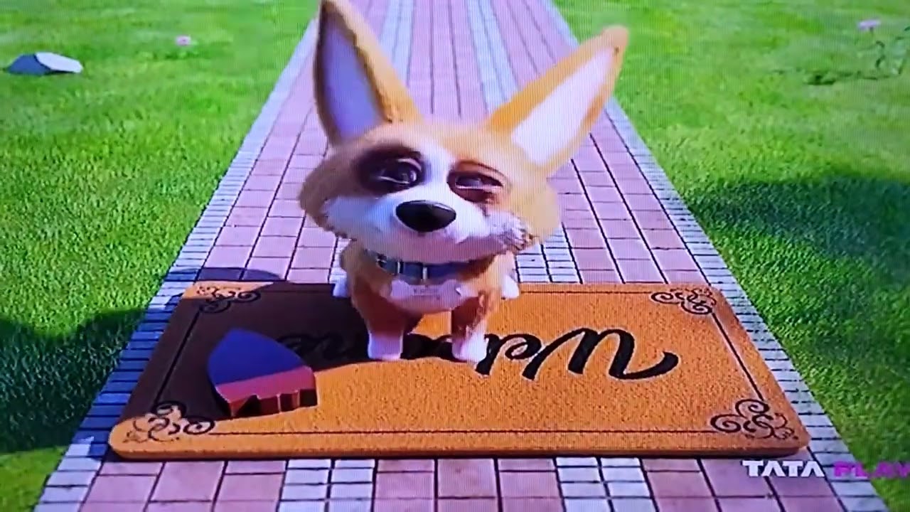 Tata Play Dog Cocos