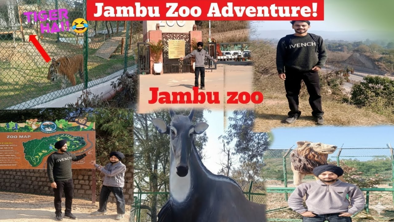 Sunday Fun at Jambu Zoo with Friends! 🐒✨||Jambu zoo🦁🥰  |jambu zoo jammu |