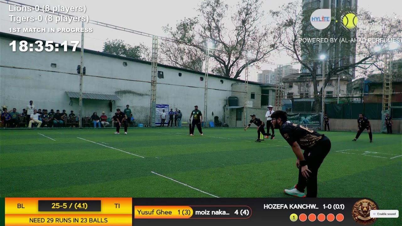 Tigers vs Lions - Finals 1