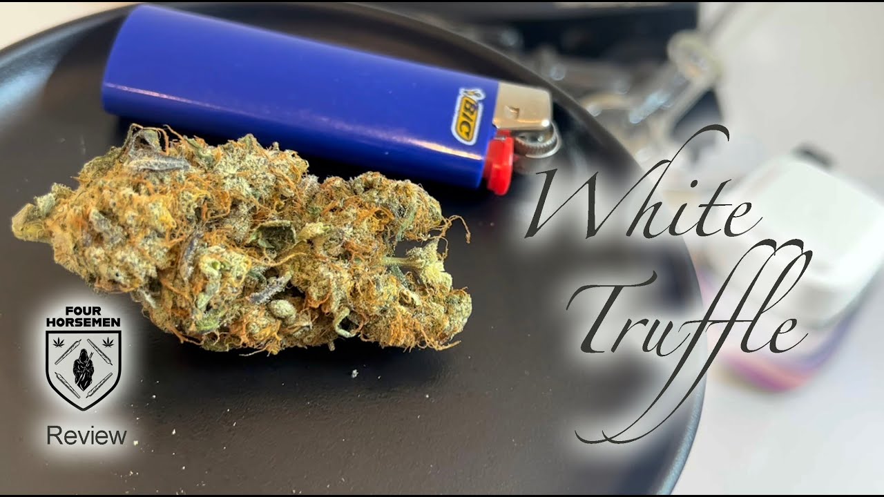 NJ Cannabis Strain Review: White Truffle (Hillview Farms, Long Hill NJ)