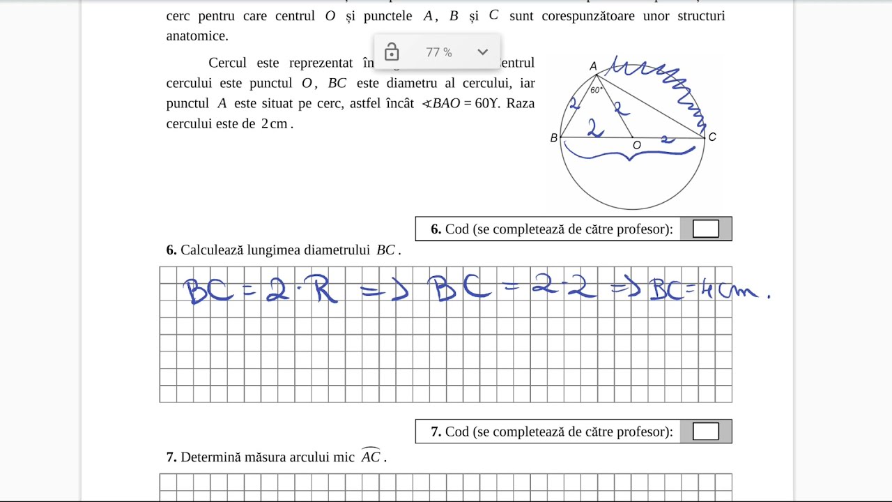 Model Evaluare Nationala - Clasa a 6 a - Subiecte 2019