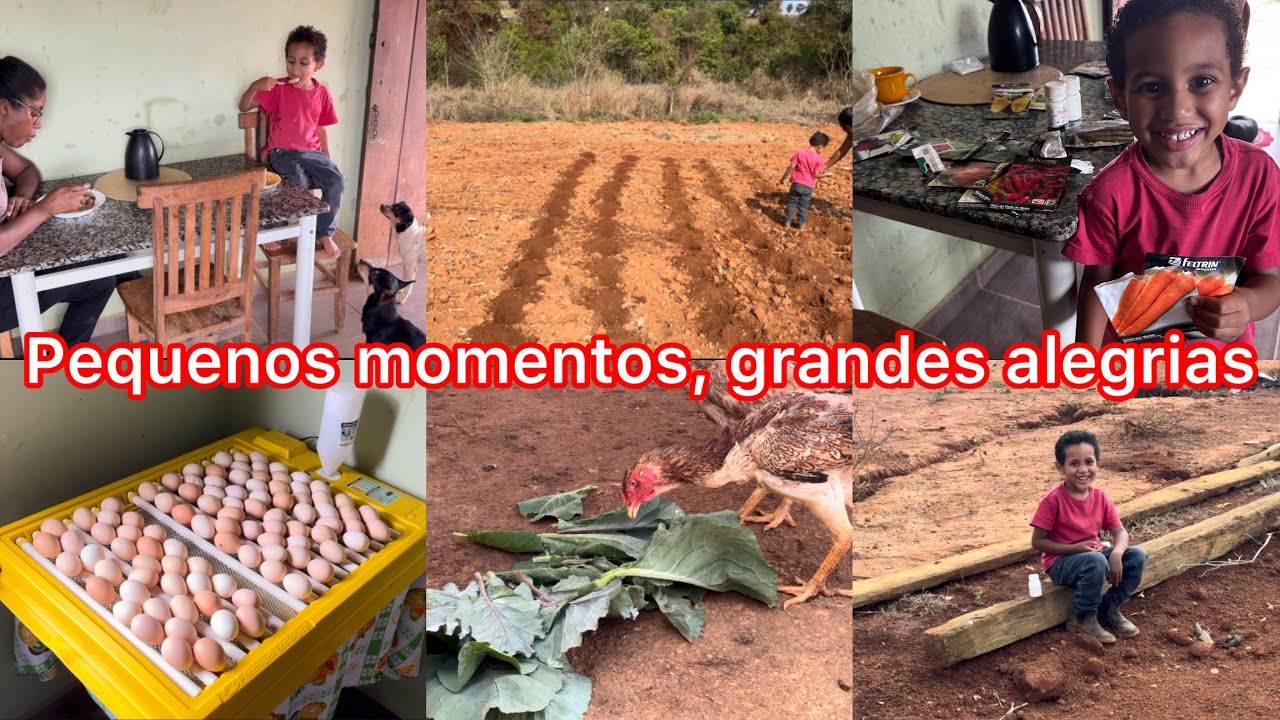  VLOG:em breve teremos muita fartura na ro&ccedil;a/Plantamos sementes e ovos &iacute;ndio gigantes na chocadeira 