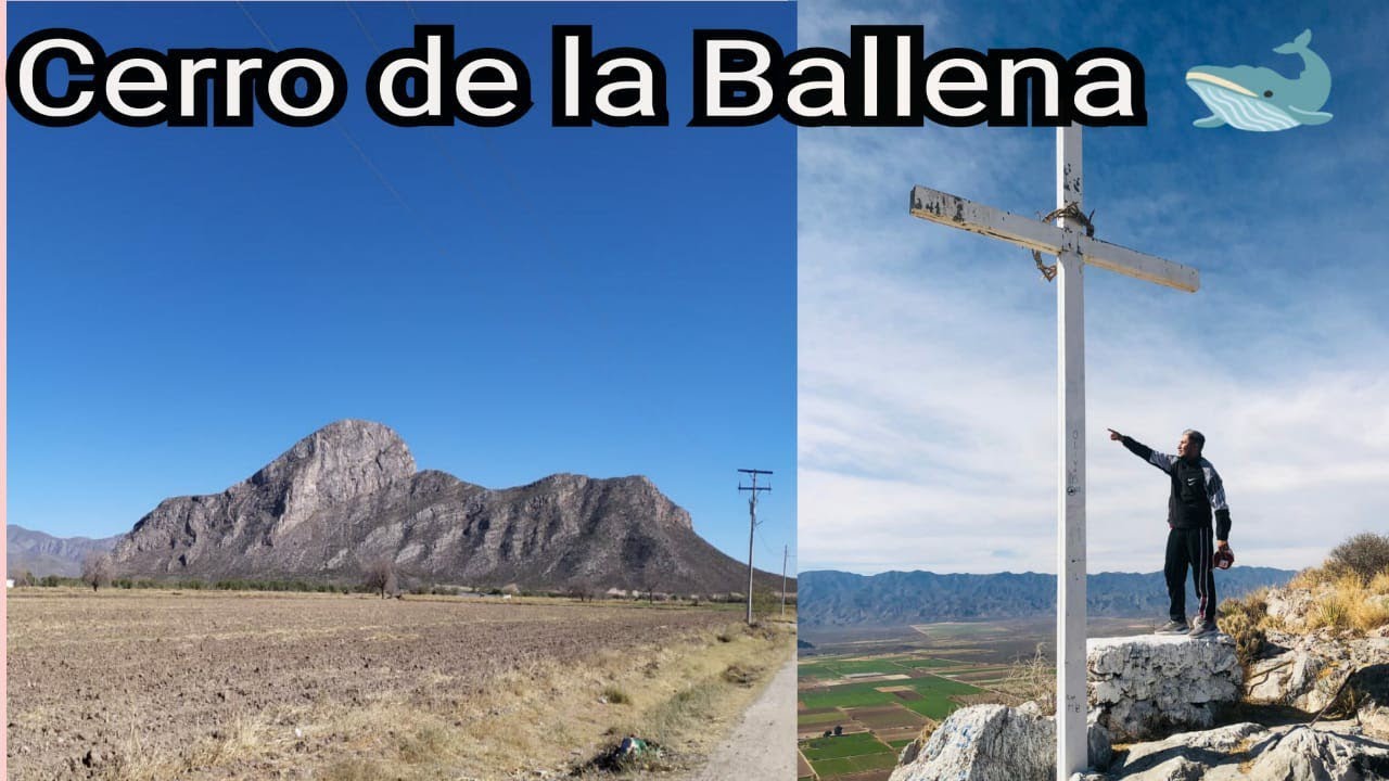 CERRO ⛰️ DE LA BALLENA 🐳 de León Guzmán de Ciudad Lerdo Durango 🦂